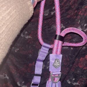 Pink and Purple Arcadia Trail Roped Dog Harness - Durable- M/L - Tractor Supply